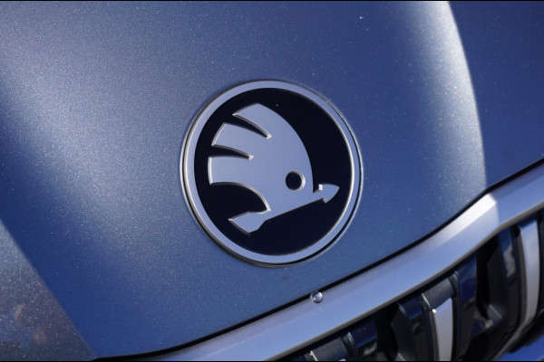 Škoda Kodiaq 204PK PHEV Business AUTOM. | EL CLIMATE | WINTERPACK | 360°