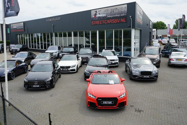 Volkswagen Polo 2.0 TSI GTI DSG 25 Edition /Pano /1e eigenaar
