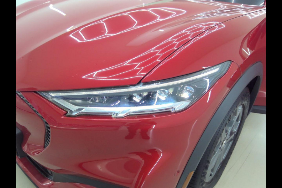 Ford Mustang Mach-E Extended RWD 98 kWh | 32.000 KM | SOH 96,5 % | Technology Pack | WORDT VERWACHT!