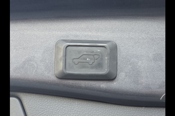 Toyota RAV4 2.5 Hybrid Executive Leder Navi Pano Camera