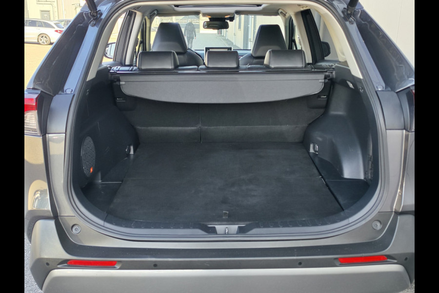 Toyota RAV4 2.5 Hybrid Executive Leder Navi Pano Camera