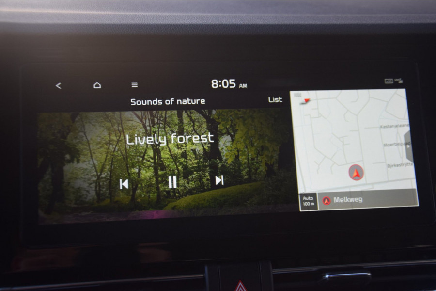 Kia e-Niro DynamicPlusLine 39 kWh SOH 100%/OPENDAK/STOELVERWARMING/CAMERA