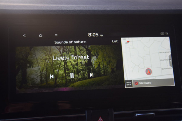 Kia e-Niro DynamicPlusLine 39 kWh SOH 100%/OPENDAK/STOELVERWARMING/CAMERA