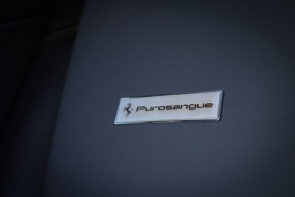Ferrari Purosangue 6.5 V12 | NEW | INCL. VAT/BPM | NO REGISTRATION | 135K OPTIONS | CARBON WHEELHOUSE, R+F DIFFUSERS, UNDERDOOR, MIRRORS, DOORPANEL MASSAGE REAR SEATS | FULL LEATHER PACK | DIGITAL REAR VIEW CAMERA | PRIVACY GLASS | REAR SEATS COOLED/HEATED | BURMESTER HIGH END AUDIO | ACTIVE MATRIX LED HEADLIGHTS | VAT REF. |