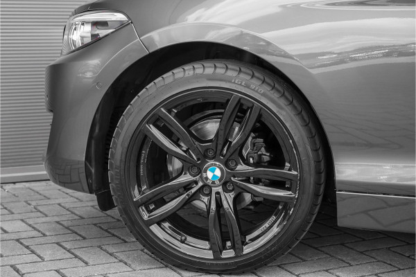 BMW 2 Serie Coupé 218i Executive Edition Camera Parkeerhulp 18"