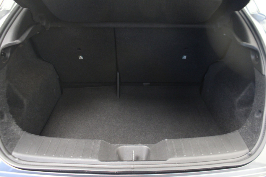 Nissan Juke 1.0 DIG-T Business Design *Hemelvaart open*