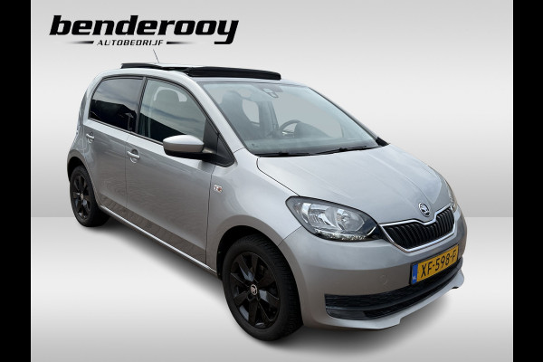 Škoda Citigo 1.0 Greentech Ambition | Pano dak