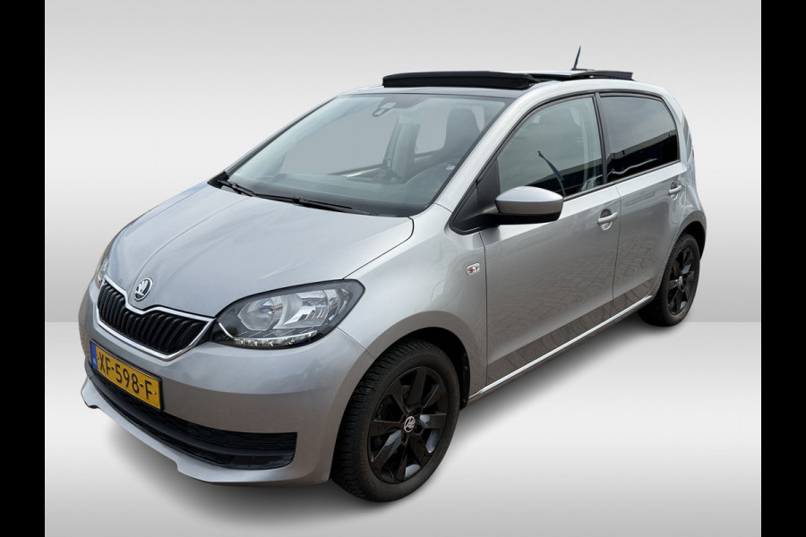 Škoda Citigo 1.0 Greentech Ambition | Pano dak