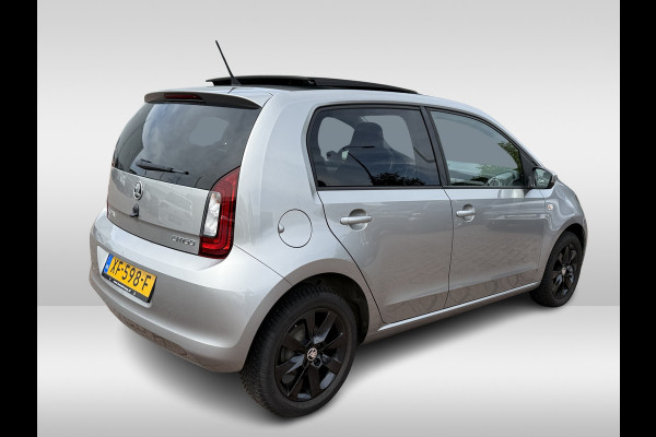 Škoda Citigo 1.0 Greentech Ambition | Pano dak