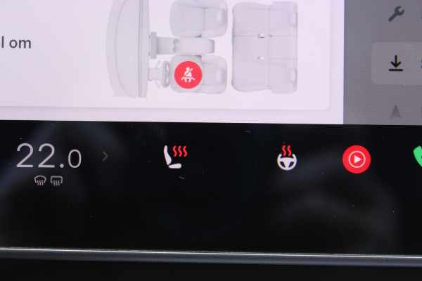 Tesla Model 3 Long Range AWD 75 kWh SOh 91,5% LEER PANO NAVI