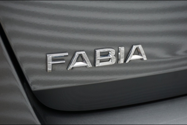 Škoda Fabia 95PK Ambition ZUINIG | WINTERPACK | CAMERA | CARPLAY