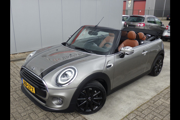 MINI Cabriolet AUT 1.5 Cooper Chili, Leder, H&K, Camera, LED!