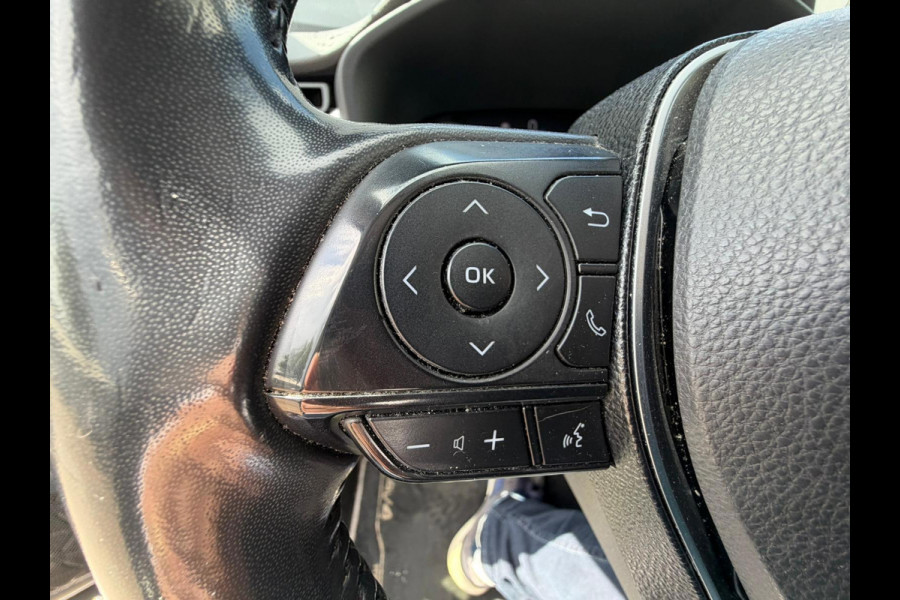 Toyota RAV4 2.5 Hybrid Executive/TREKHAAK/LEER/VOLLE AUTO