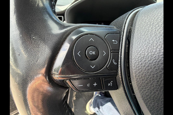 Toyota RAV4 2.5 Hybrid Executive/TREKHAAK/LEER/VOLLE AUTO