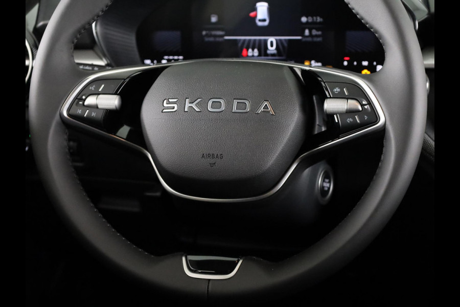 Škoda Fabia Selection 1.0 TSI 95 pk 5 vesn. Hand | Getint glas achter