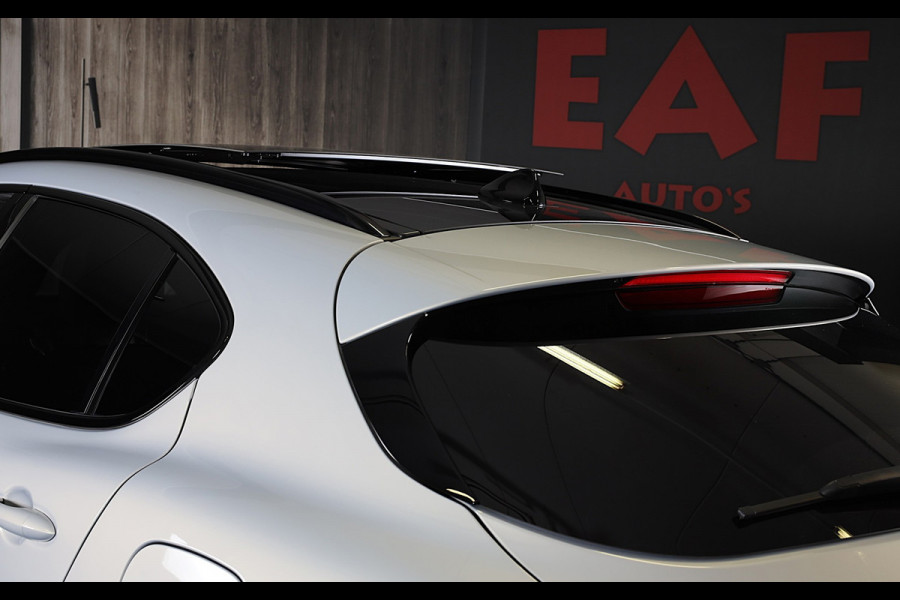Alfa Romeo Stelvio 2.0 T AWD Veloce Ti / Carbon / Acc / Lane Assist / Dode Hoek / Camera / Open Panoramadak / Led / Pdc / 21 Inch