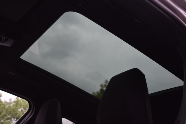 BMW X2 sDrive20i Launch Edition M-Pakket Pano Harman/Kardon Camera