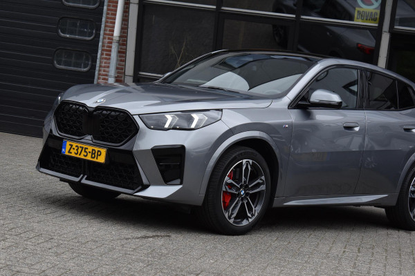 BMW X2 sDrive20i Launch Edition M-Pakket Pano Harman/Kardon Camera