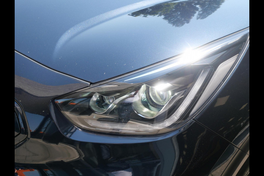 Kia e-Niro DynamicPlusLine 64 kWh | SOH 95,6 | Schuif/kanteldak | stoel/stuurverwarming |