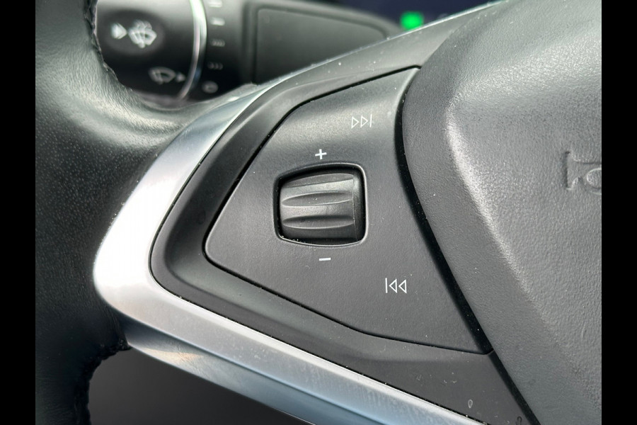 Tesla Model S 100D|SOH 90.2%|Pano|Stoel/Stuurverw|Cam|
