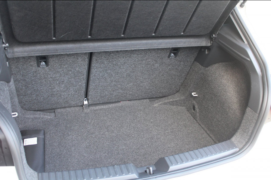 Seat Ibiza 1.0 TSI FR Black Edition| Pano | Virtueel | Camera | ACC