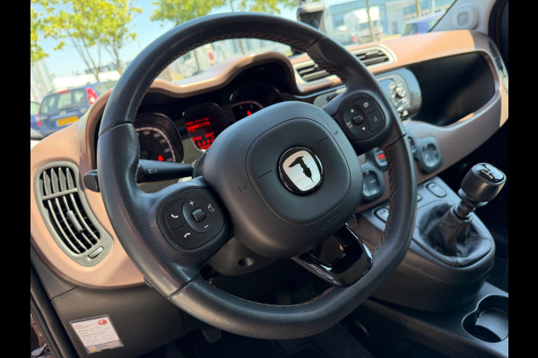 Fiat Panda 1.2 TRUSSARDI Cross, Climate, PDC