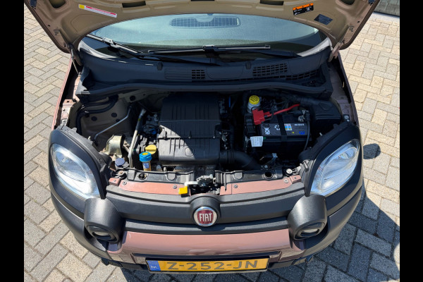 Fiat Panda 1.2 TRUSSARDI Cross, Climate, PDC