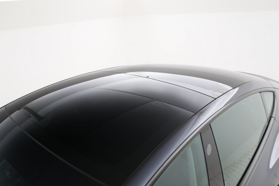 Tesla Model 3 Performance AWD 75 kWh 462pk! Navigatie, CLimate,