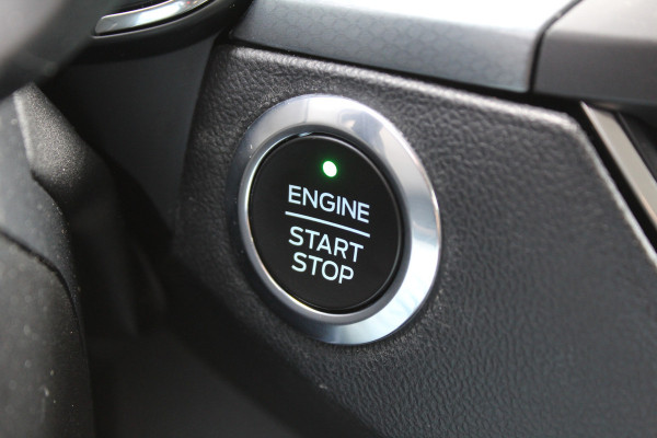 Ford FOCUS Wagon 1.0 EcoBoost Active Business | Trekhaak | Cruise Control | Winter Pack