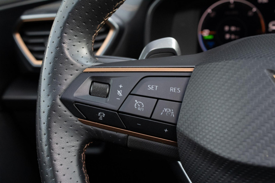 CUPRA Formentor 1.4 e-Hybrid Business PANO CAMERA MAXTON MEMORY ACC
