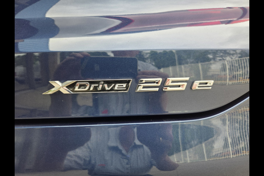 BMW X2 xDrive25e High Executive M-Tech Sport interieur , Head-up Display , Panoramadak