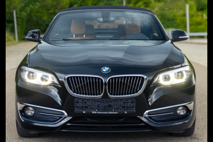 BMW 2 Serie Cabrio 220iA EDITION-2 ** LED, COGNAC LEDER, NAVI, CAMERA, 17-inch LMV ** 1e EIG - UNFALLFREI  ** ** INFORMEER OOK NAAR ONZE AANTREKKELIJKE FINANCIAL-LEASE TARIEVEN **