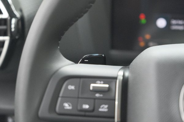 Citroën C4 1.2 Hybrid 136 Plus | Camera | Apple Carplay | Navigatie | Parkeersensoren