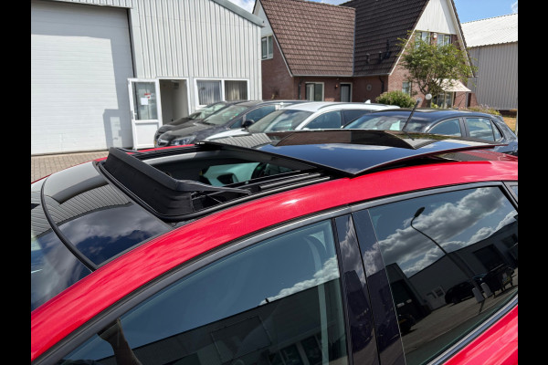 Seat Ibiza 1.0 TSI FR Business Intense PANO/AUTOMAAT/CRUISE