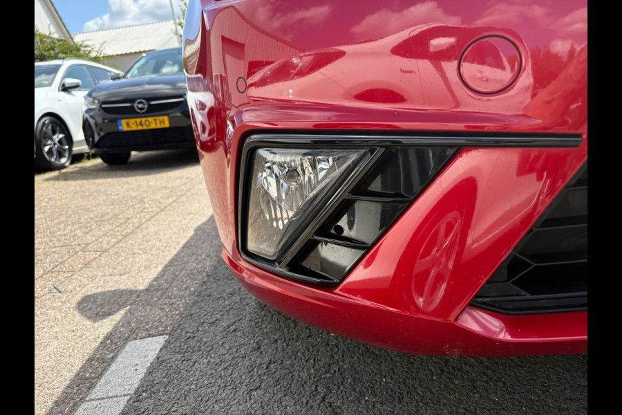 Seat Ibiza 1.0 TSI FR Business Intense PANO/AUTOMAAT/CRUISE