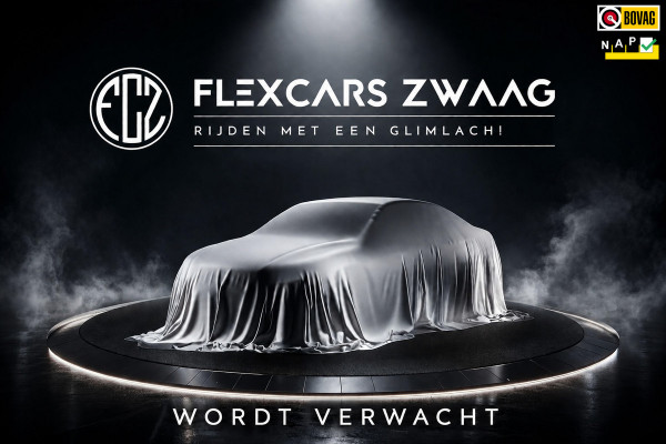 Seat Ibiza 1.0 TSI FR Business Intense - Automaat - Pano/Schuifdak - Alcantara - Org.NL