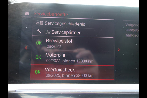 BMW X7 xDrive 30D VAN High Executive Pano.dak Leer Trekhaak Grijskenteken