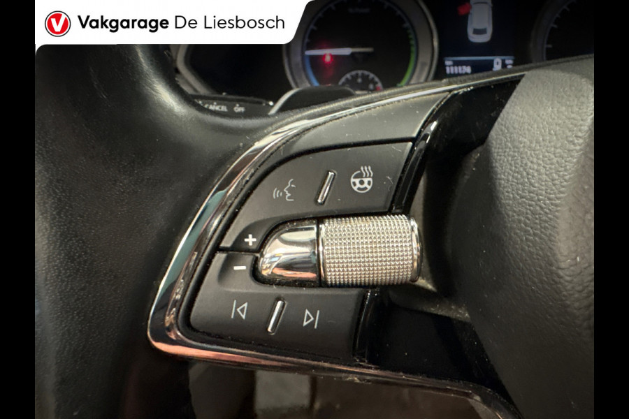 Škoda Superb Combi 1.4 TSI iV Business Edition Plus/navi/stoel stuur verw/trekhaak/apple carplay