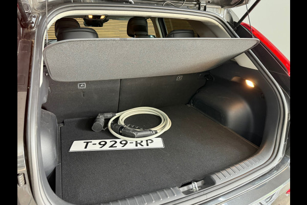 Kia Niro EV Edition 64.8 kWh | 204pk | ACC | Camera | Navi | Stoel/stuur verwarming | Apple CarPlay & Android Auto| 17 Inch | NAP