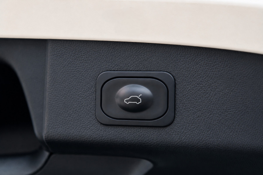 Ford FOCUS Wagon 1.5 Active / PANO / HUD / ACC / B&O / KEYLESS / CAMERA / STUUR+STOELVERW