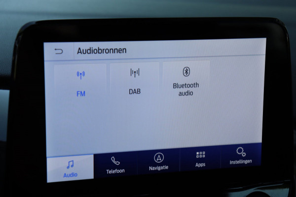 Ford Puma 1.0 EcoBoost Hybrid Titanium org.NL winter+comfortpack navi camera pdc