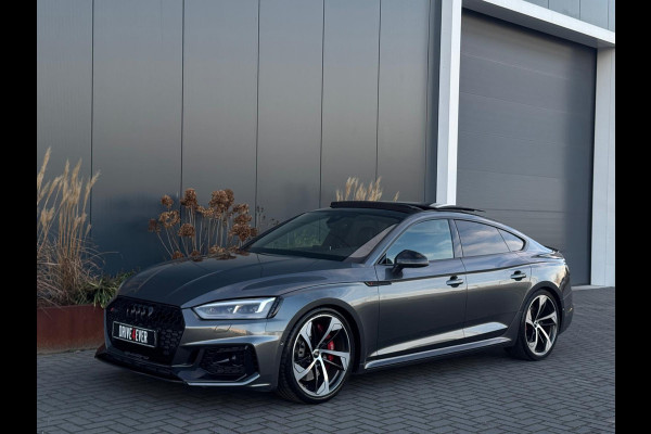 Audi RS5 Sportback 2.9 TFSI RS 5 quattro FULL PANO|LEDER|CLIMATE|ELEK PAKKET
