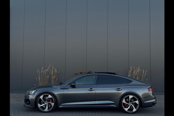 Audi RS5 Sportback 2.9 TFSI RS 5 quattro FULL PANO|LEDER|CLIMATE|ELEK PAKKET