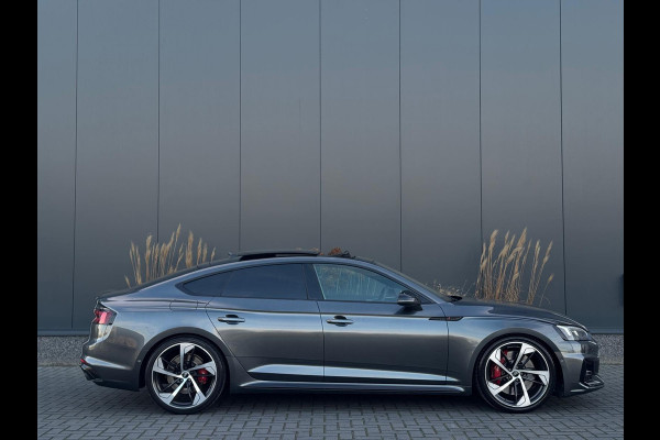 Audi RS5 Sportback 2.9 TFSI RS 5 quattro FULL PANO|LEDER|CLIMATE|ELEK PAKKET