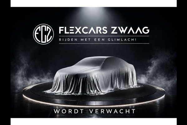 Tesla Model 3 Long Range AWD 75 kWh - Automaat - Panodak - Leder - Navi