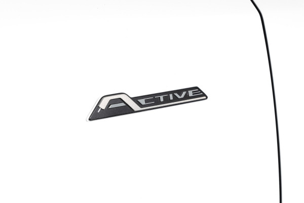 Ford Focus 1.0 EcoBoost 125 PK Active Business | Cruise | Winterpakket | PDC | NAV + App. Connect | Airco | Afn. Trekhaak | LM 17" |