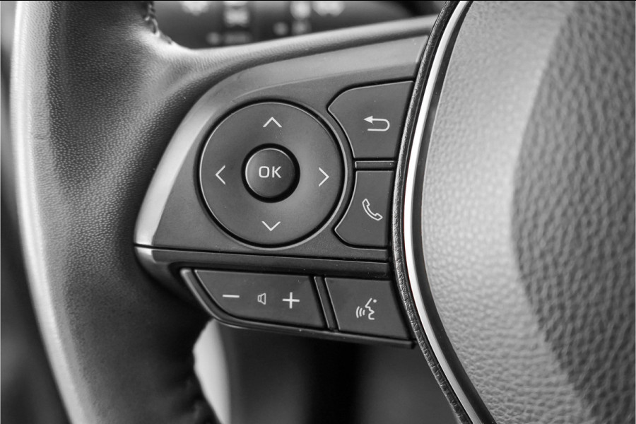 Toyota RAV4 2.5 Hybrid AWD Bi-Tone Navi ACC Camera Trekhaak
