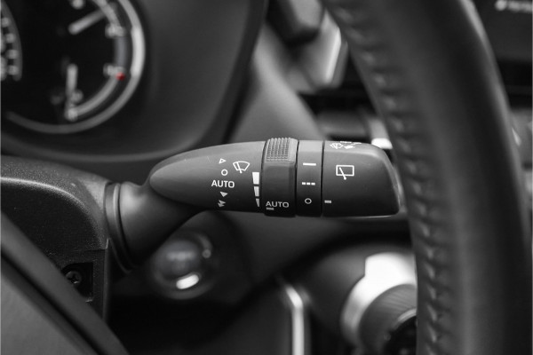 Toyota RAV4 2.5 Hybrid AWD Bi-Tone Navi ACC Camera Trekhaak