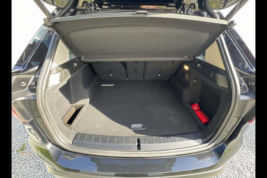 BMW X1 xDrive25e Executive CAMERA/NAVI/HEAD-UP