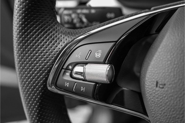 Škoda Kamiq 1.5 TSI ACT Business Edition Camera Trekhaak Stuur & Stoelverw